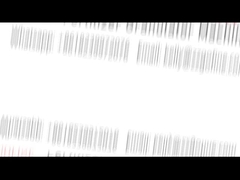 Dòng sản xuất phân bón hữu cơ, Máy Granulator phân bón hữu cơ